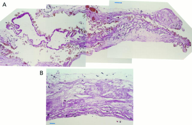 Figure 2  