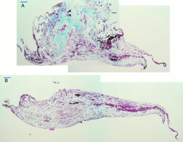 Figure 3  