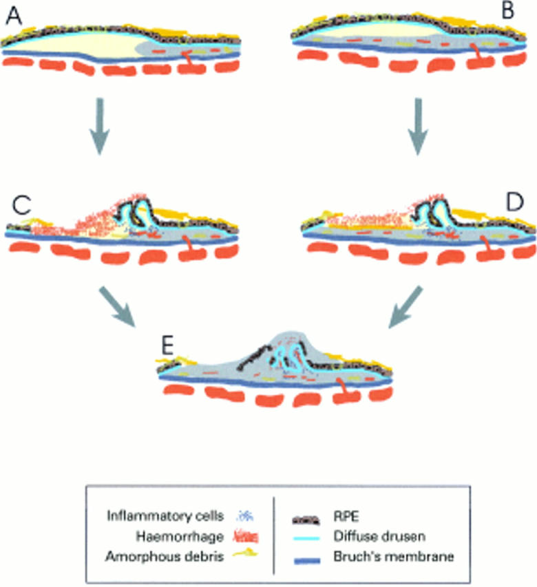 Figure 6  