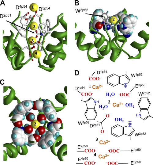 FIGURE 5.