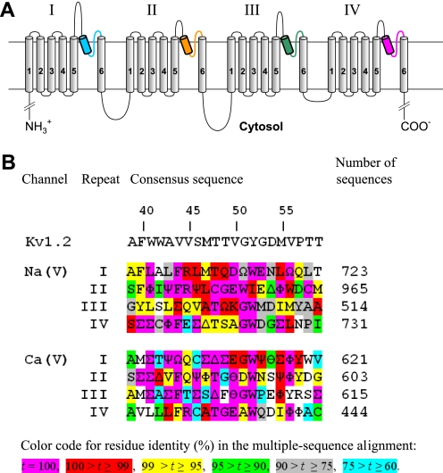 FIGURE 1.