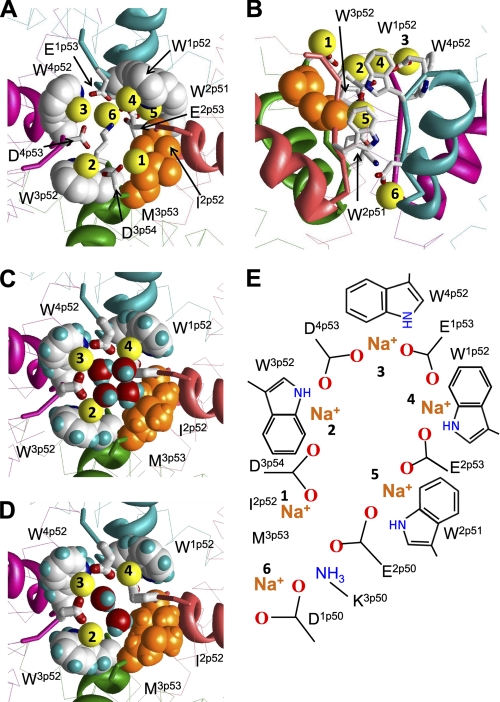 FIGURE 4.