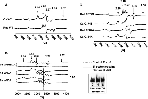 FIGURE 4.