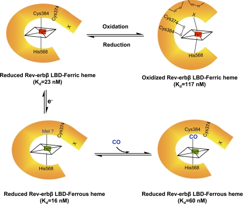 FIGURE 7.