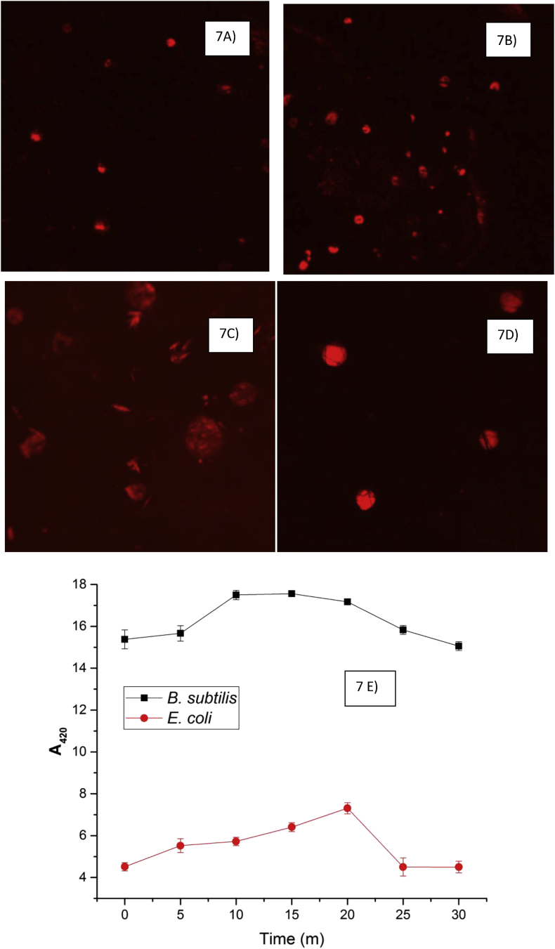 Figure 7