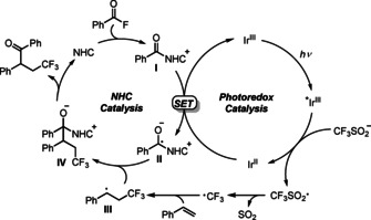 Scheme 5