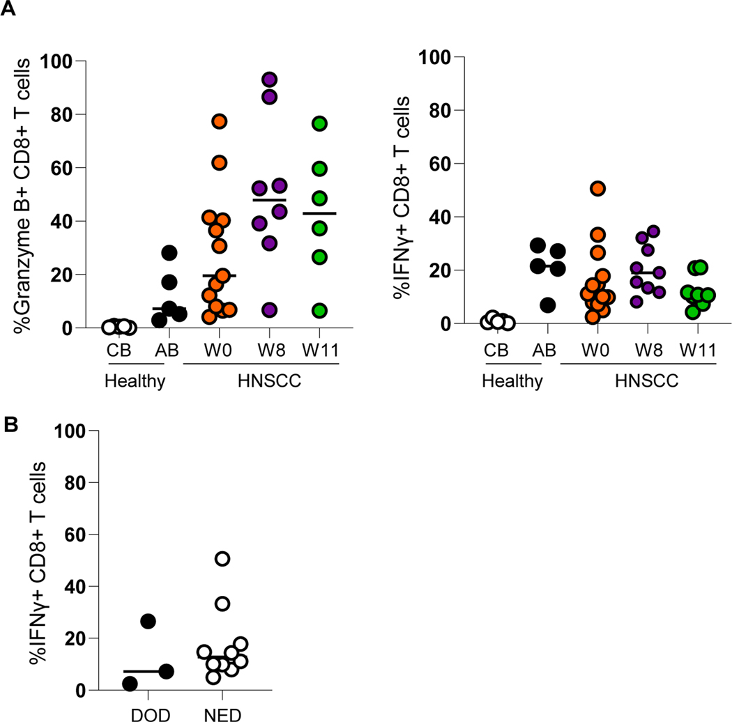 Figure 5: