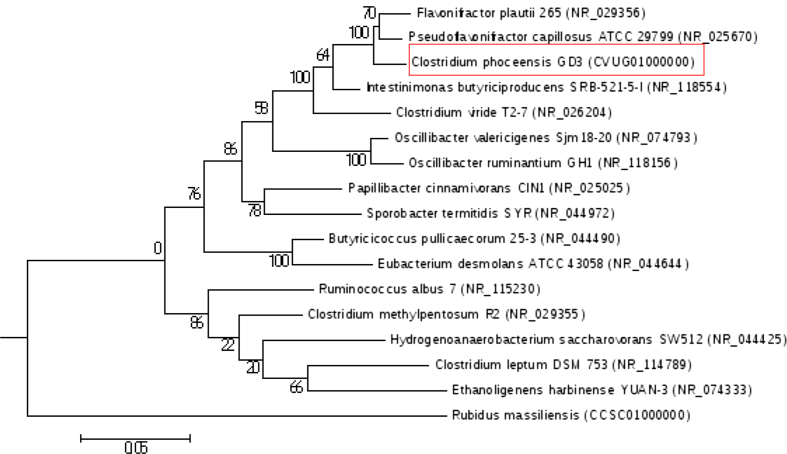 Fig. 4