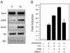 FIG. 7.