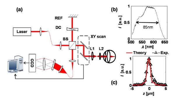 Fig. 2