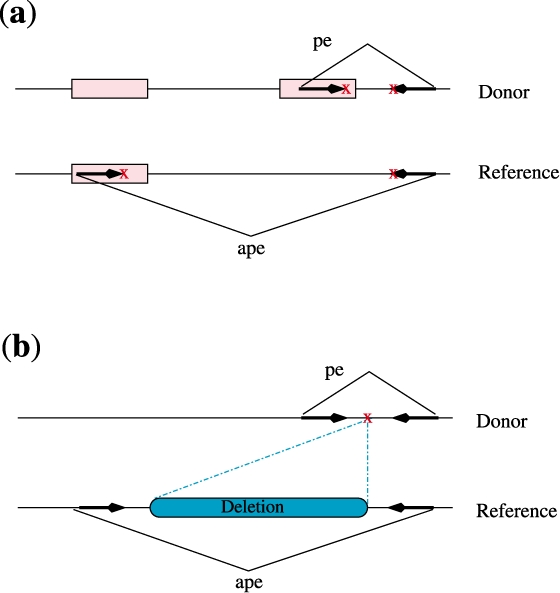 Fig. 1.