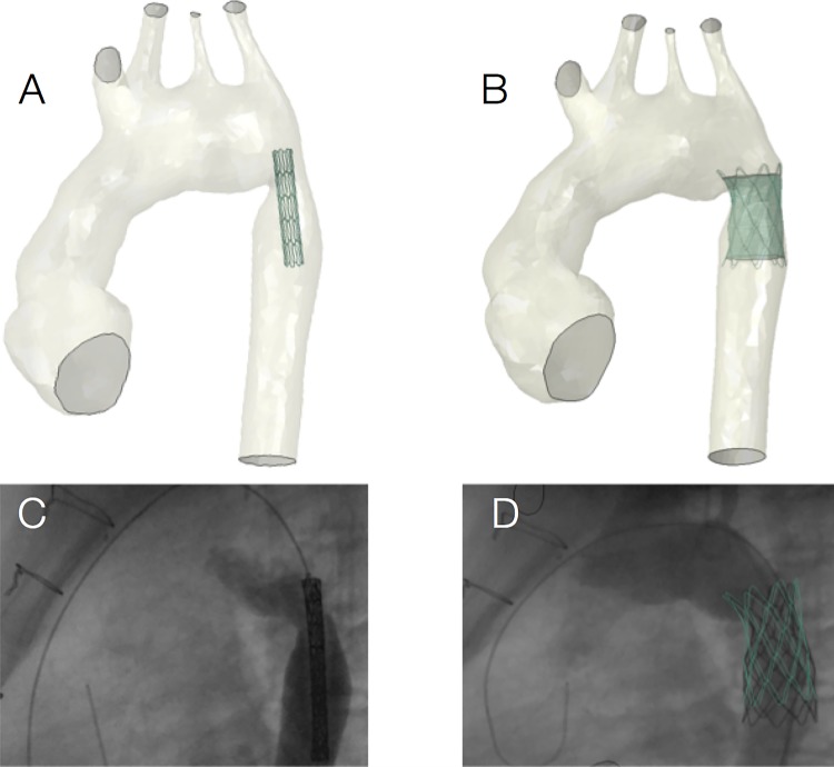 Figure 2