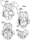 Figure 5.