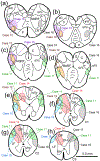 Figure 14.
