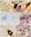 Figure 13.