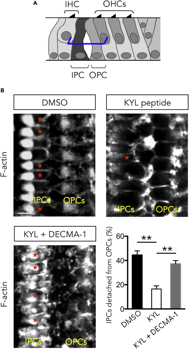 Figure 7