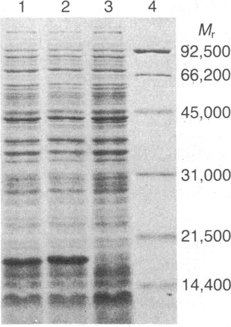 graphic file with name pnas00358-0047-a.jpg