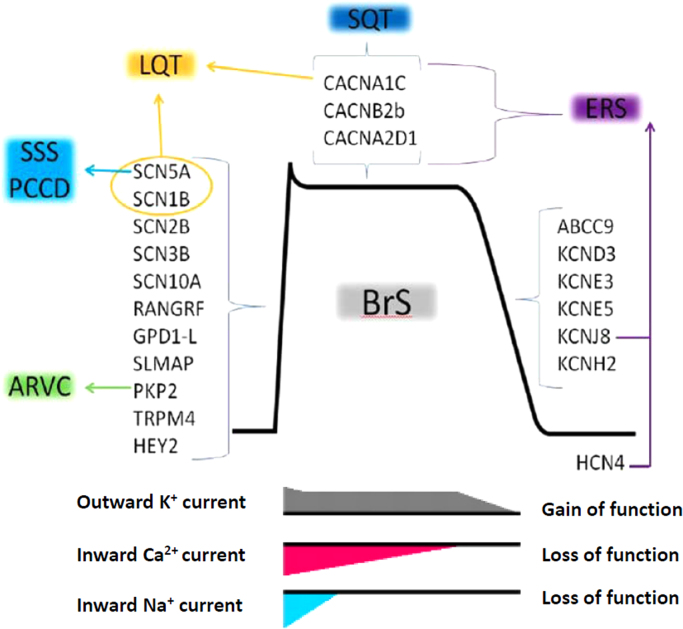 Fig. 4