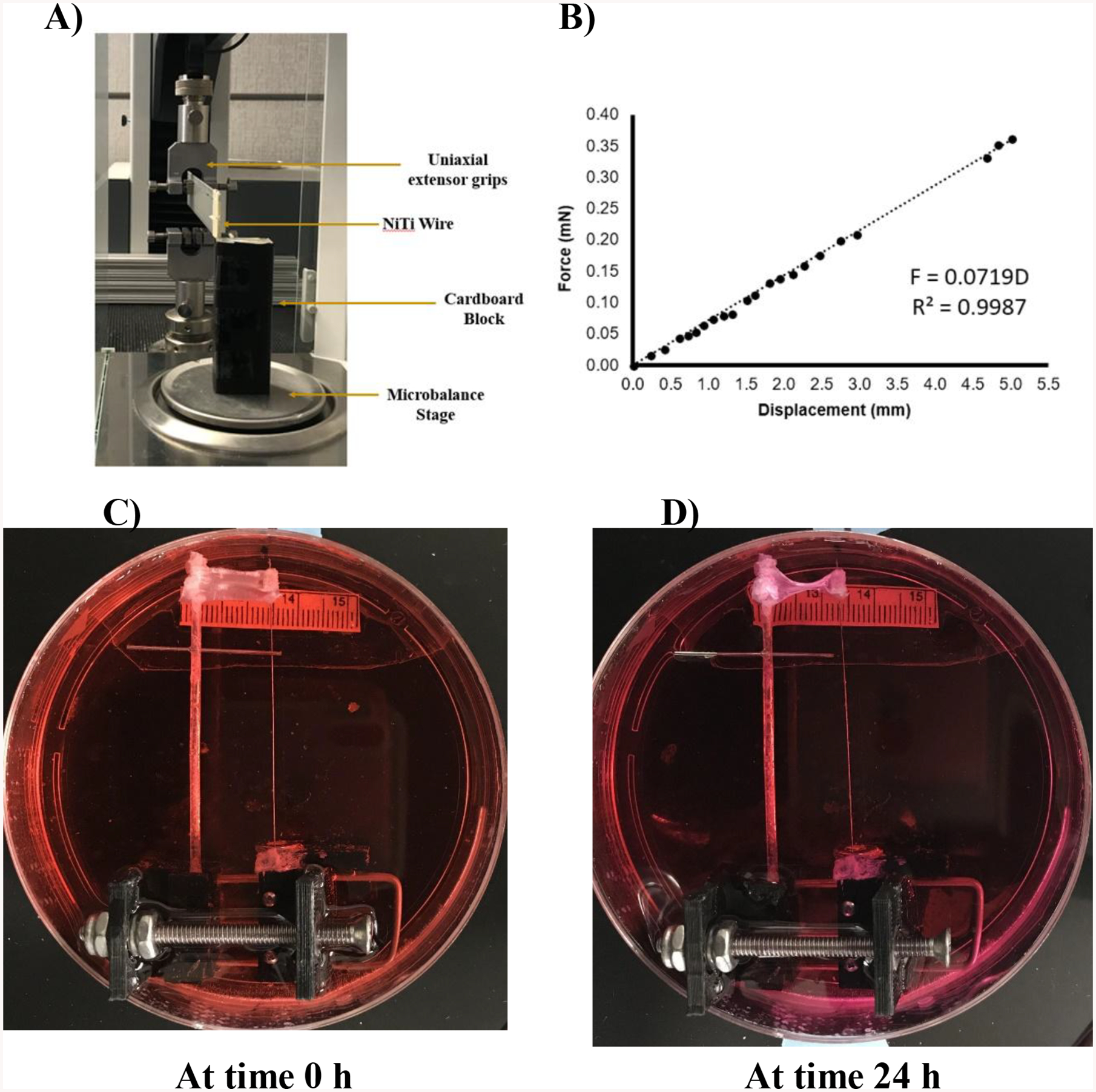 Figure 6: