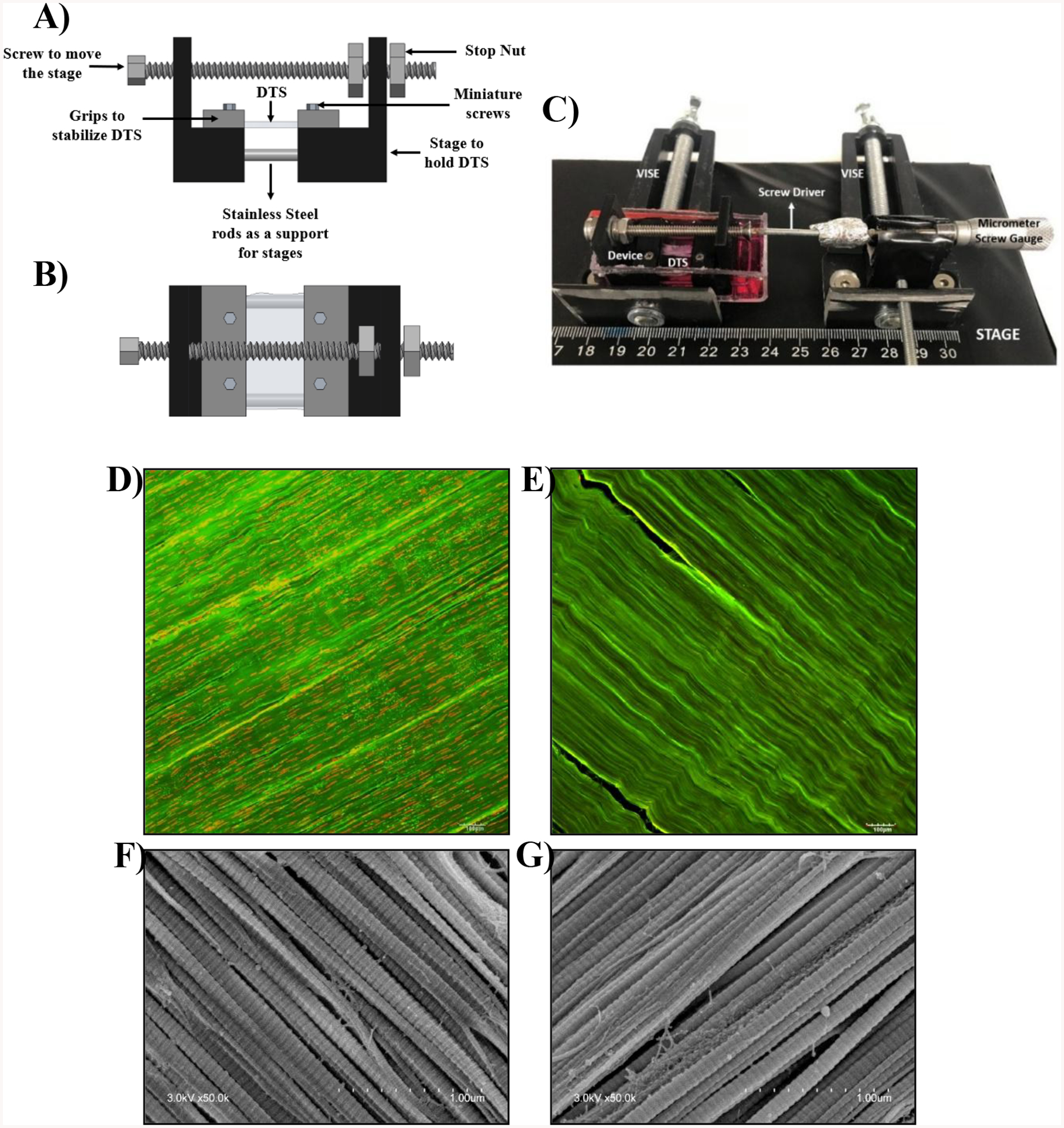 Figure 1: