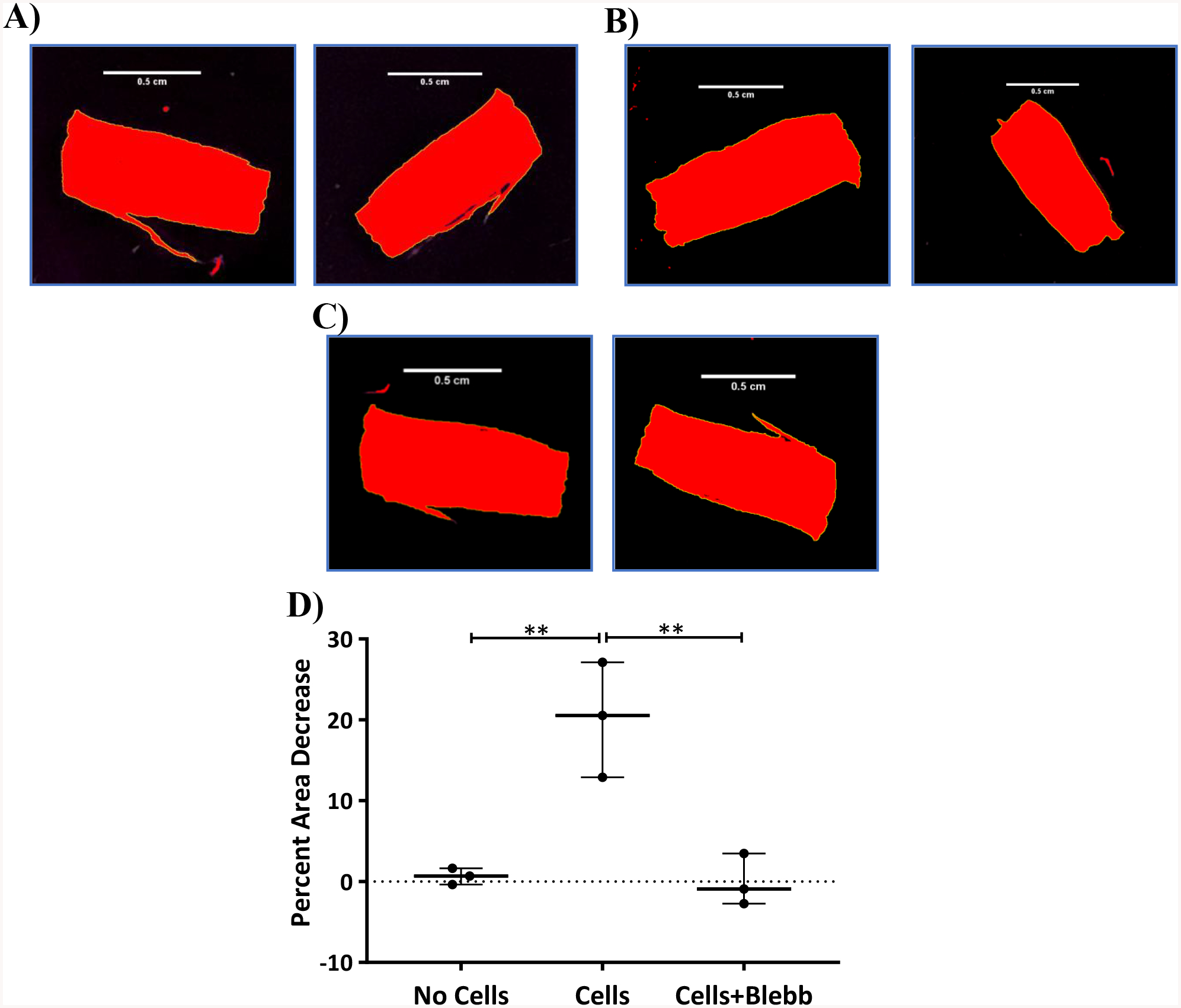 Figure 5: