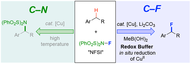 graphic file with name nihms-1616692-f0001.jpg