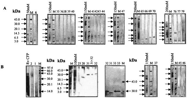 FIG. 5.