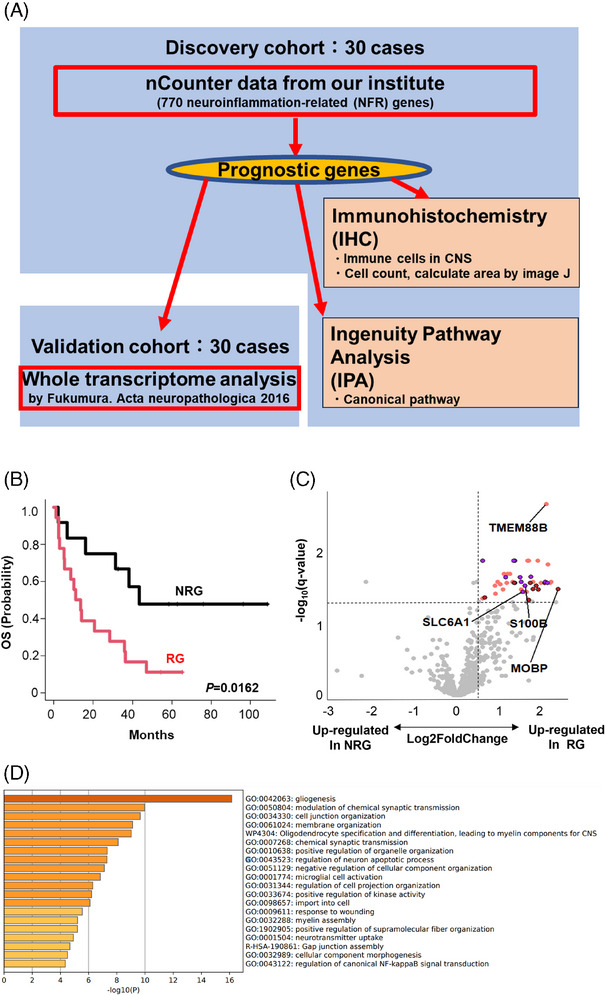 FIGURE 1