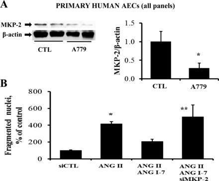Fig. 8.