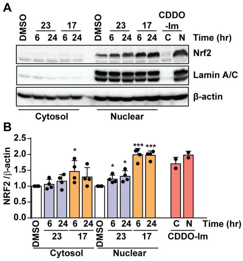 Figure 4: