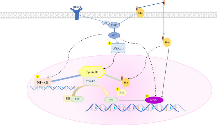 GRAPHICAL ABSTRACT