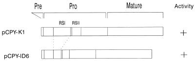 FIG. 1