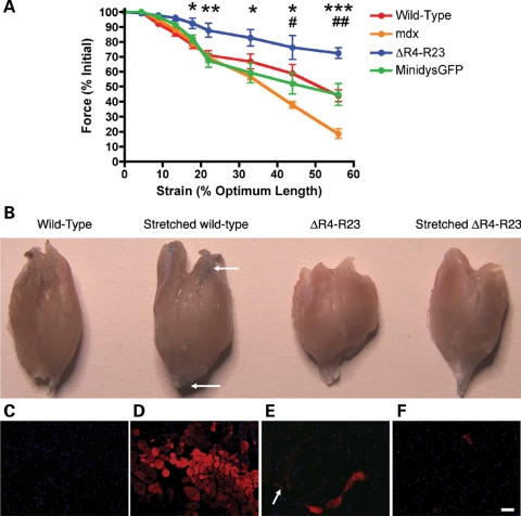 Figure 4.