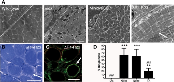 Figure 3.