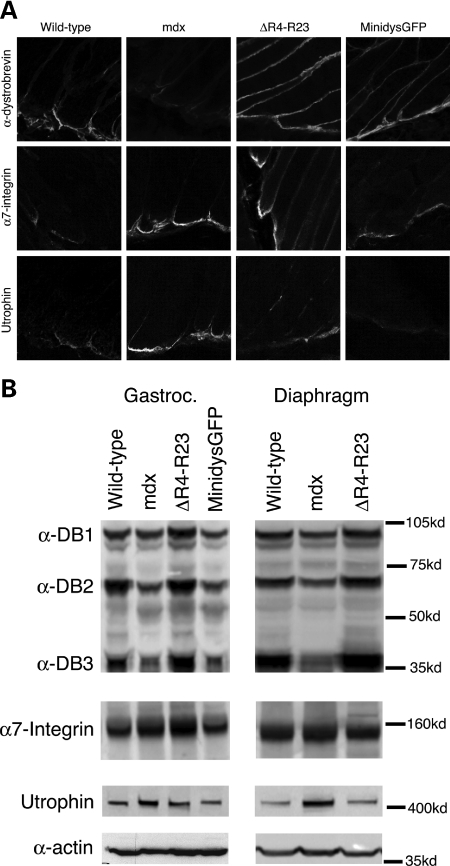 Figure 2.