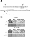 FIG. 3.
