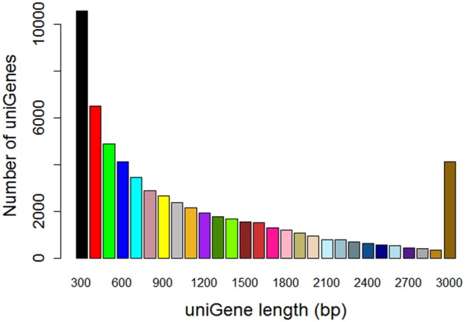 FIGURE 2