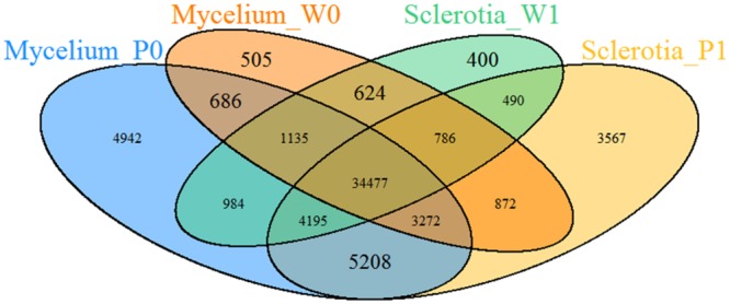 FIGURE 3