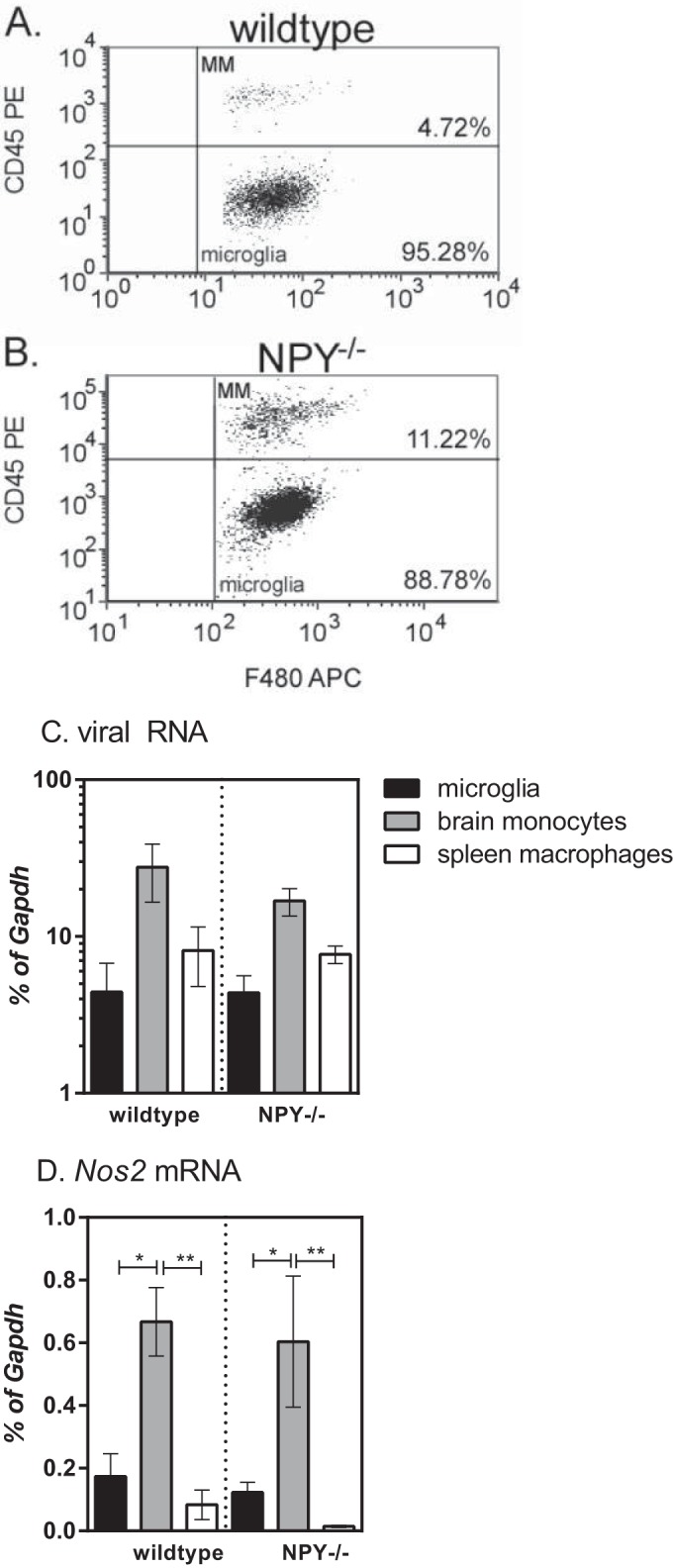 FIG 6