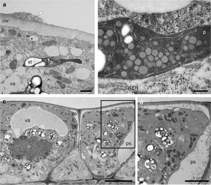 Fig. 8