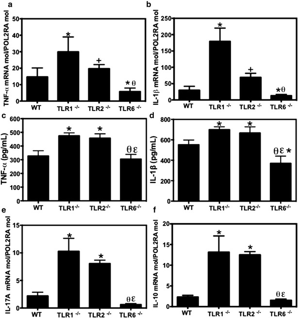 Fig. 6