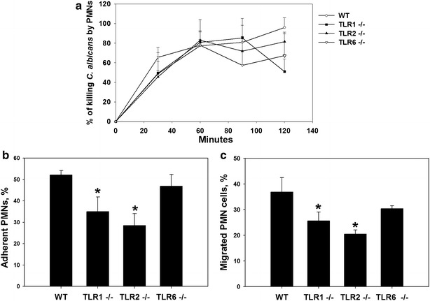 Fig. 7