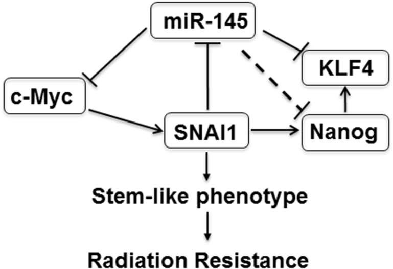 Figure 7