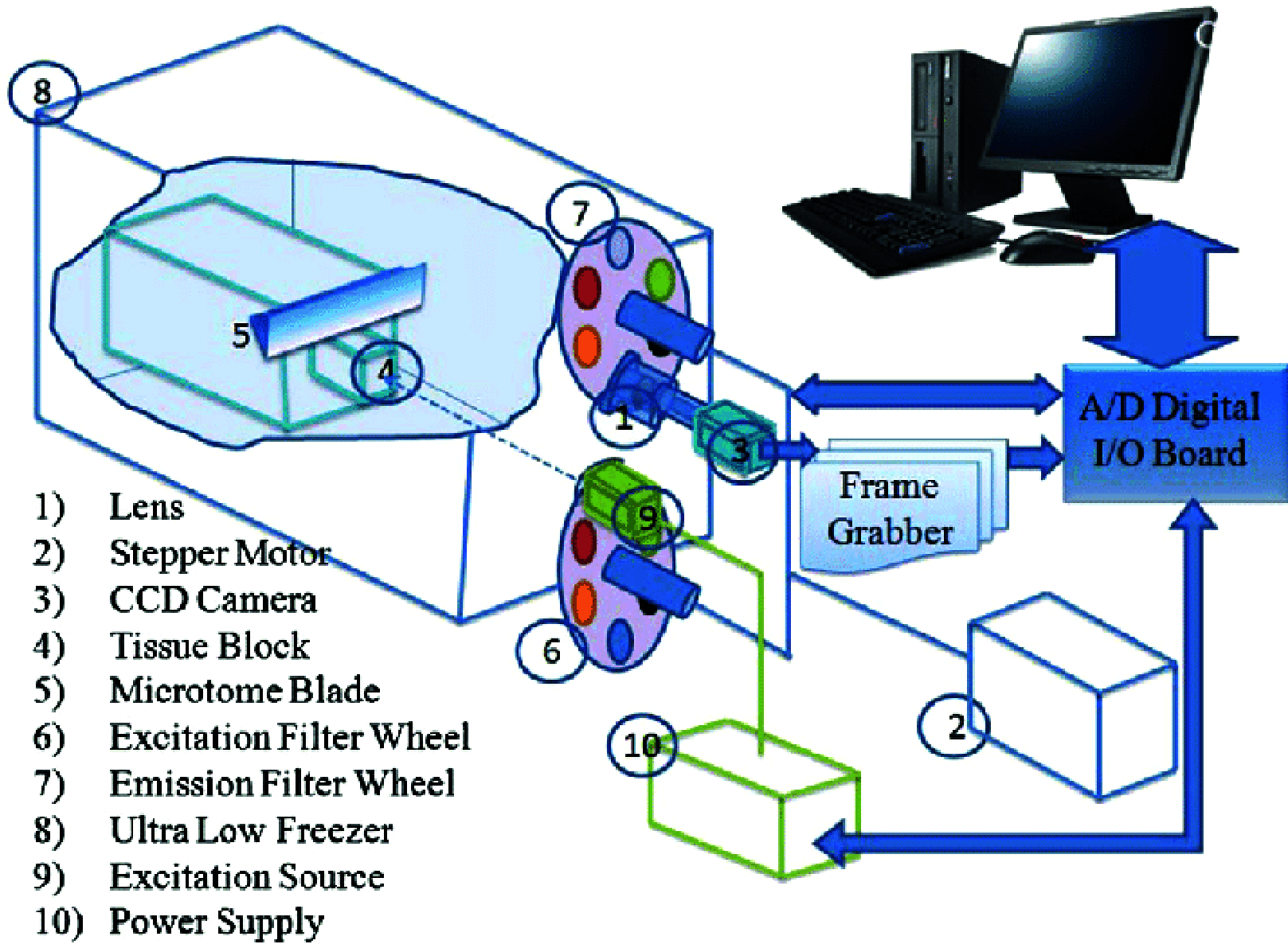 FIGURE 1.