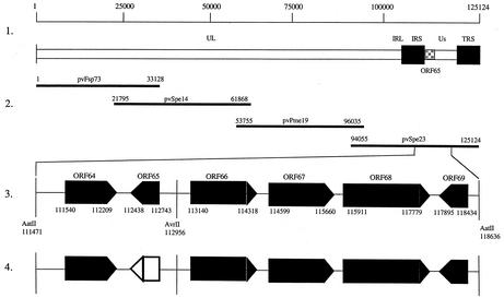 FIG. 1.