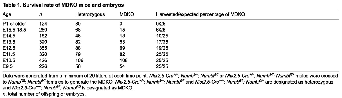 graphic file with name table001.jpg