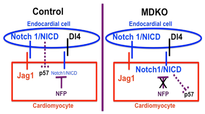 Fig. 8.