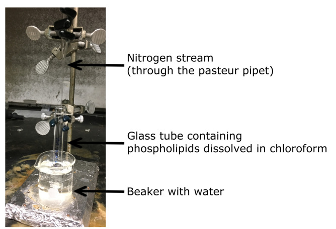 Figure 1.