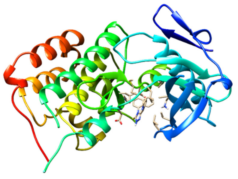 Figure 11