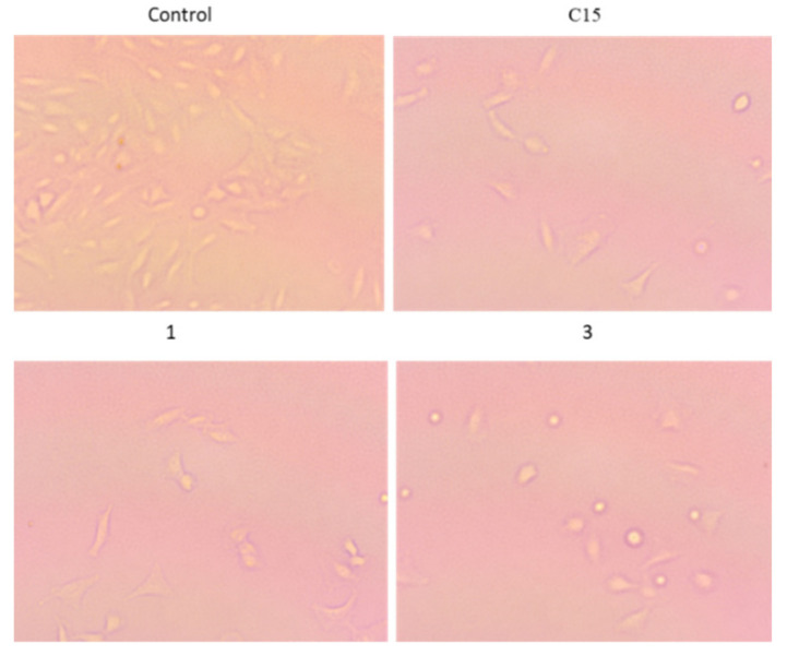 Figure 10